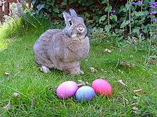 L'origine du lapin de Pâques